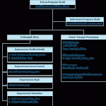 organigram_s1_keperawatan